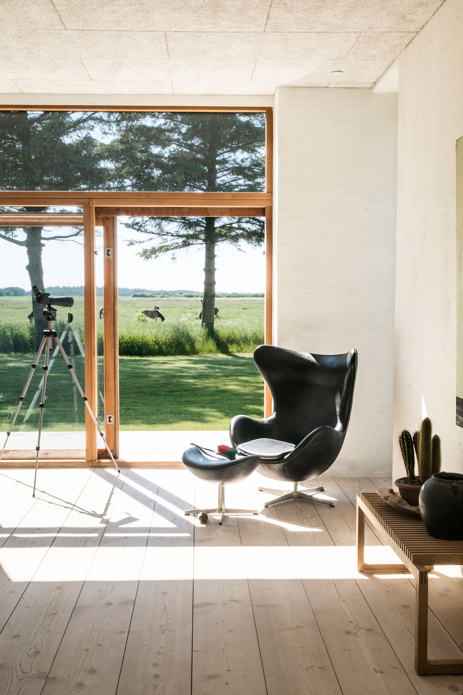 Egeskov, Råbjerg — Helårshuse i Nordjylland, billede 17