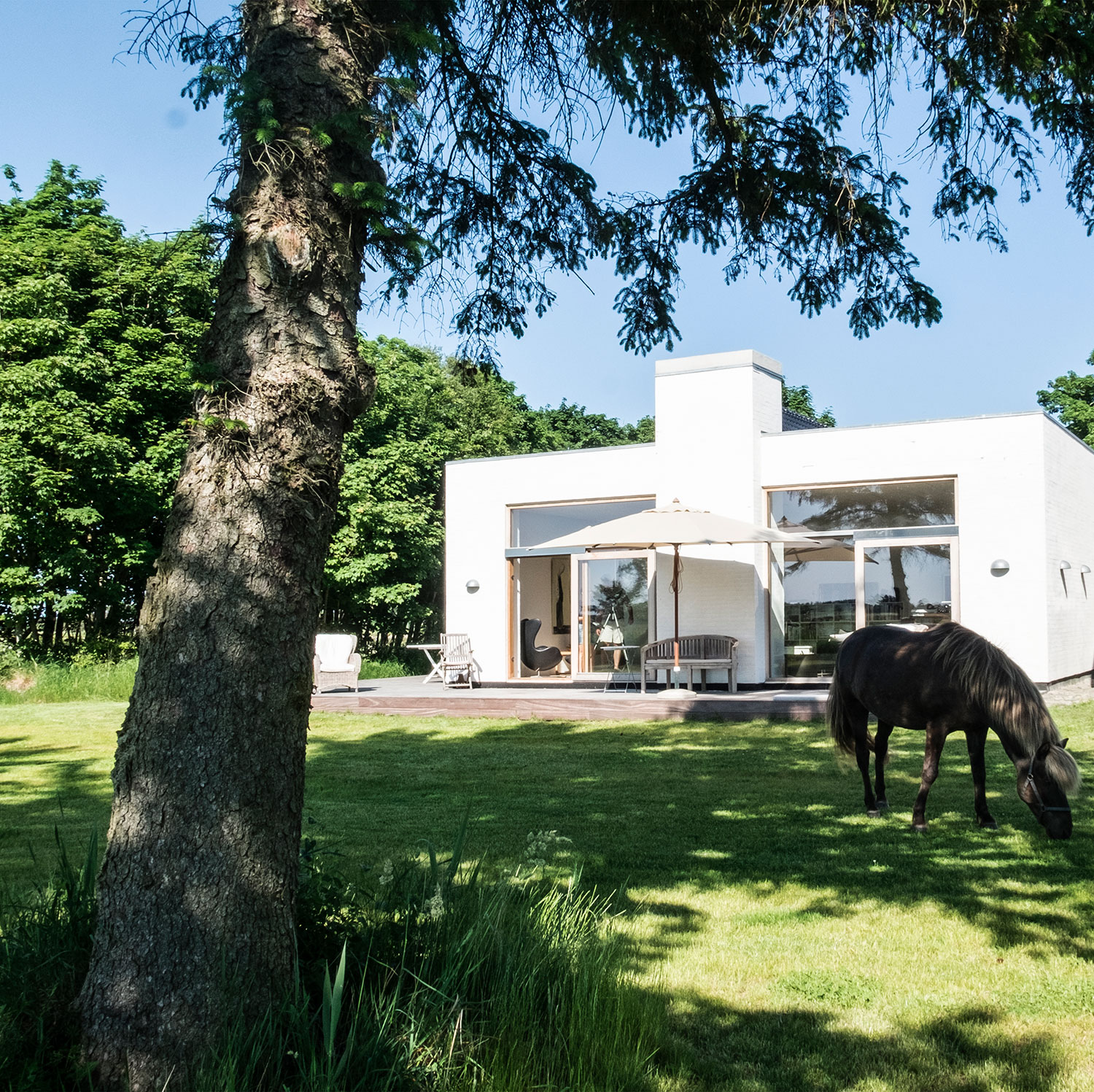 Egeskov, Råbjerg — Helårshuse i Nordjylland, billede 28