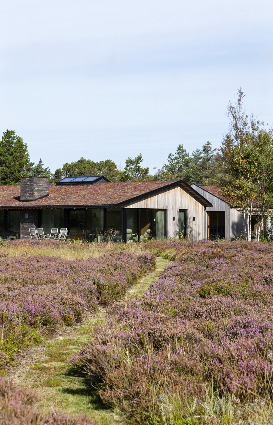 Enkelt sommerhus på unik grund bestående af hede- og klitlandskab — Fritidshuse i Nordjylland, billede 9