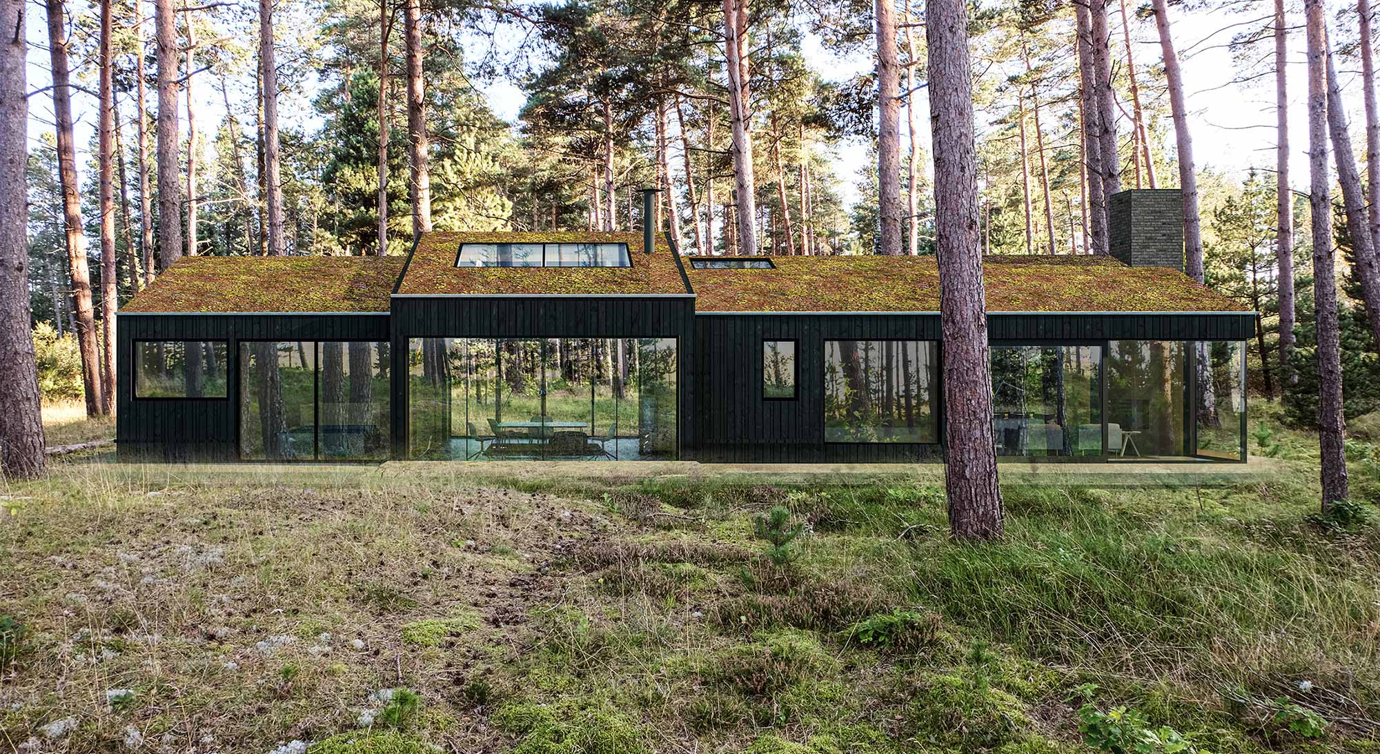 Fritidshus i skov — Fritidshuse i Nordjylland