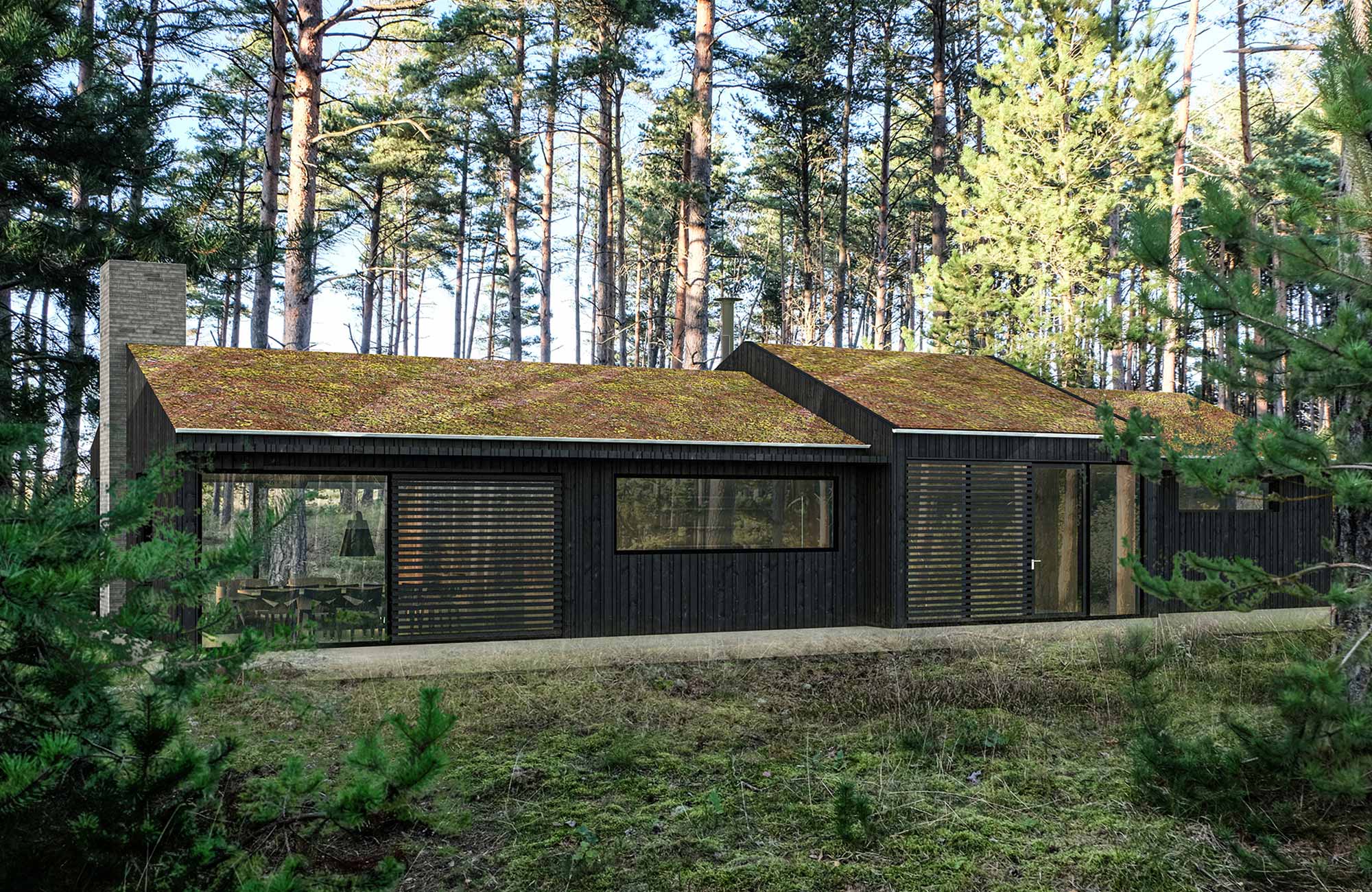 Fritidshus i skov — Fritidshuse i Nordjylland, billede 4