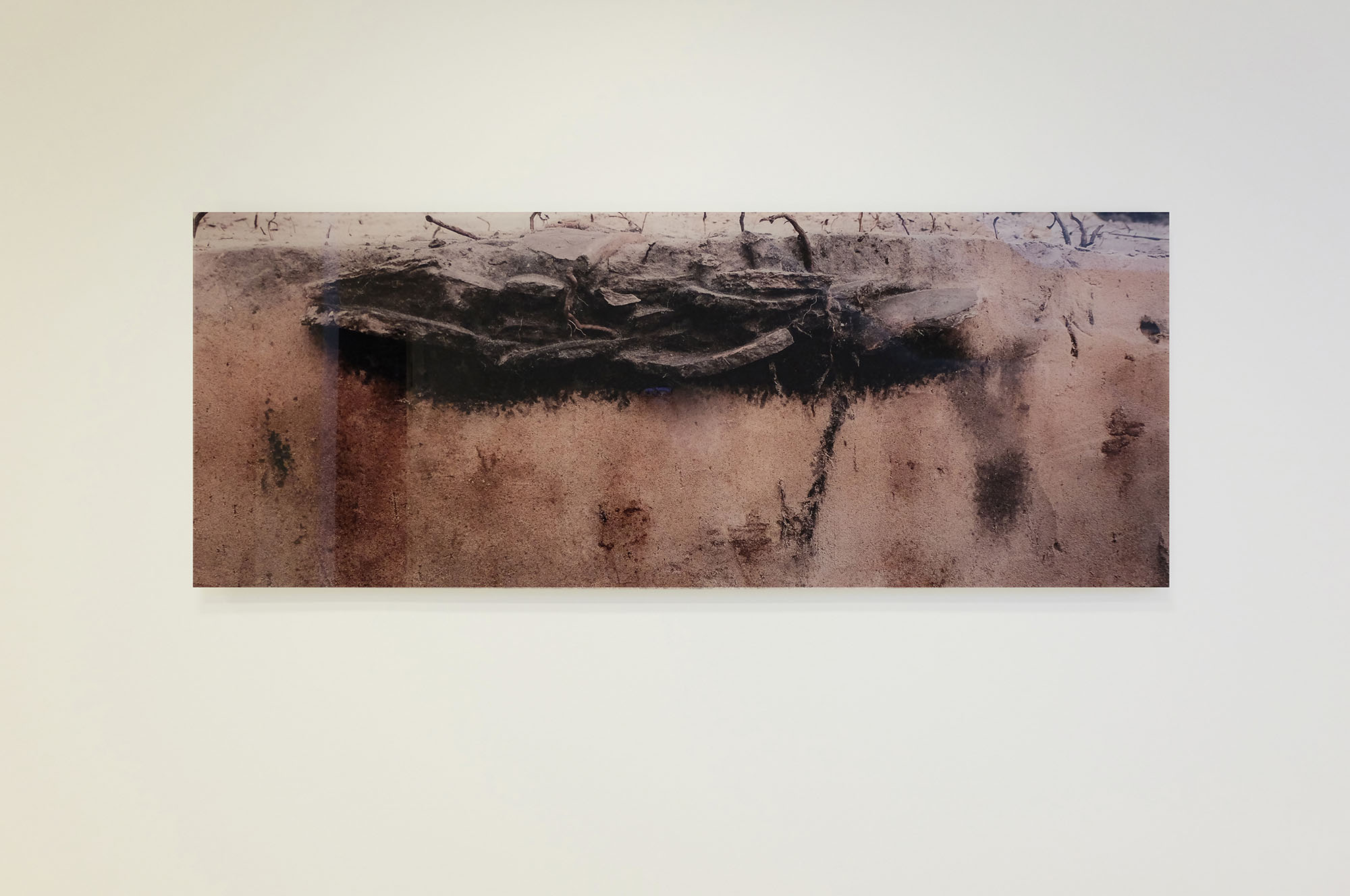 Grafisk udsmykning Brønderslev Sundhedshus — Grafik i Brønderslev, billede 5