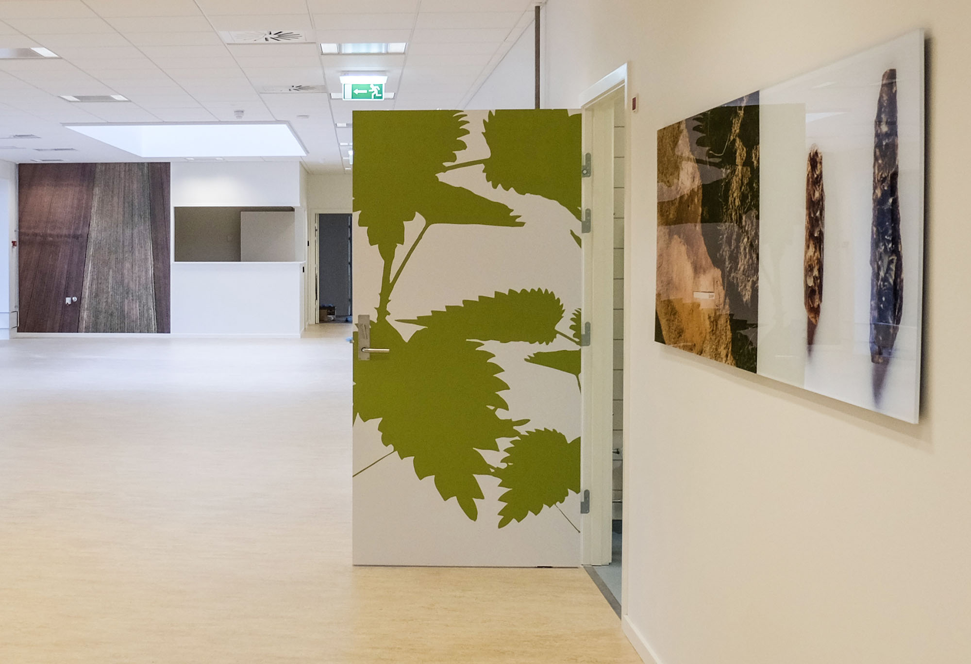 Grafisk udsmykning Brønderslev Sundhedshus — Grafik i Brønderslev, billede 10