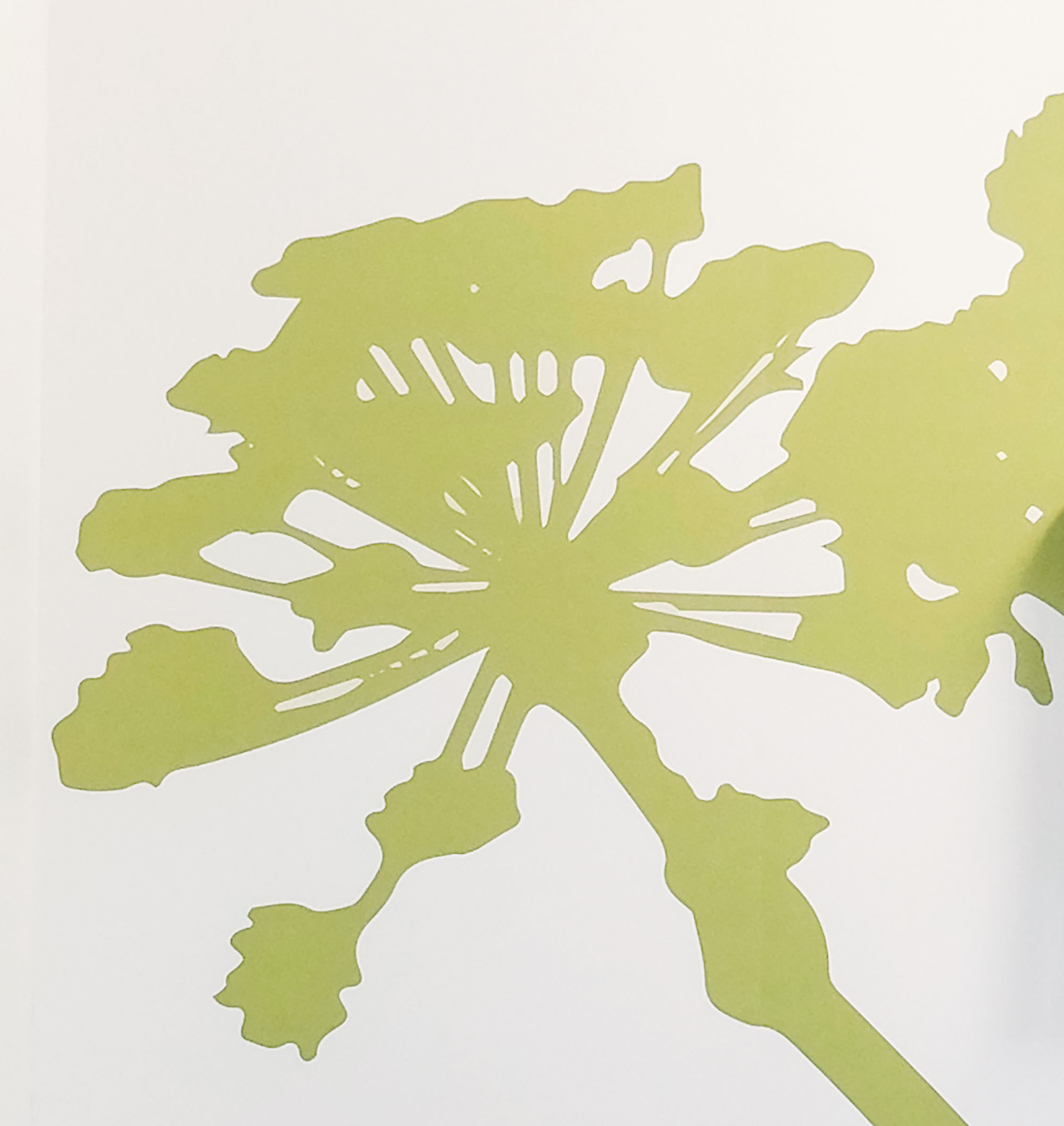 Grafisk udsmykning Brønderslev Sundhedshus — Grafik i Brønderslev, billede 14