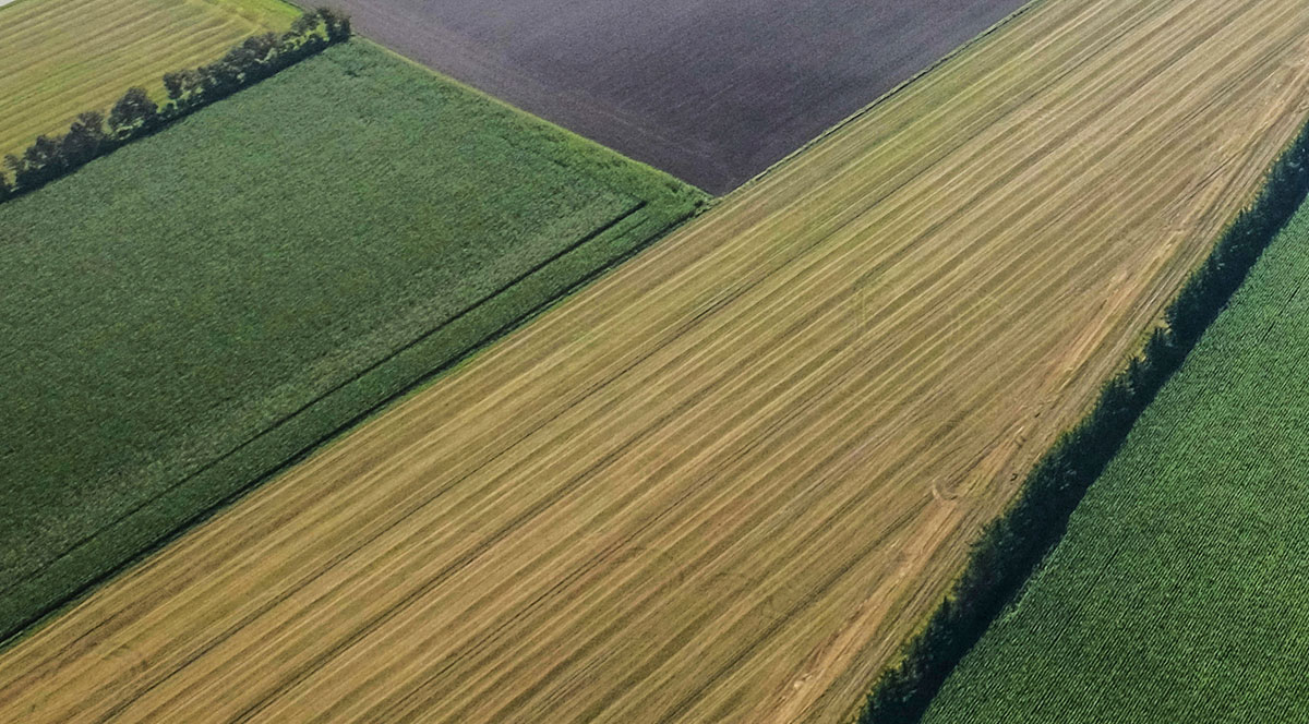 Grafisk udsmykning Brønderslev Sundhedshus — Grafik i Brønderslev, billede 27
