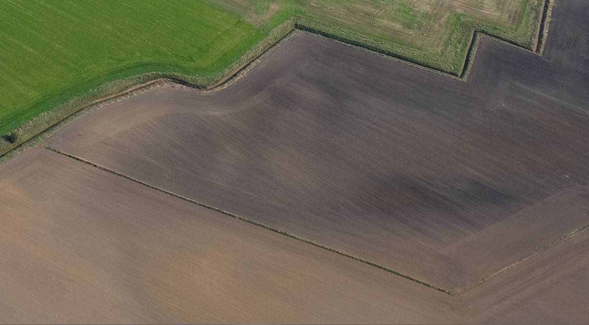 Grafisk udsmykning Brønderslev Sundhedshus — Grafik i Brønderslev, billede 30