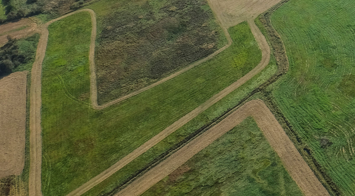 Grafisk udsmykning Brønderslev Sundhedshus — Grafik i Brønderslev
