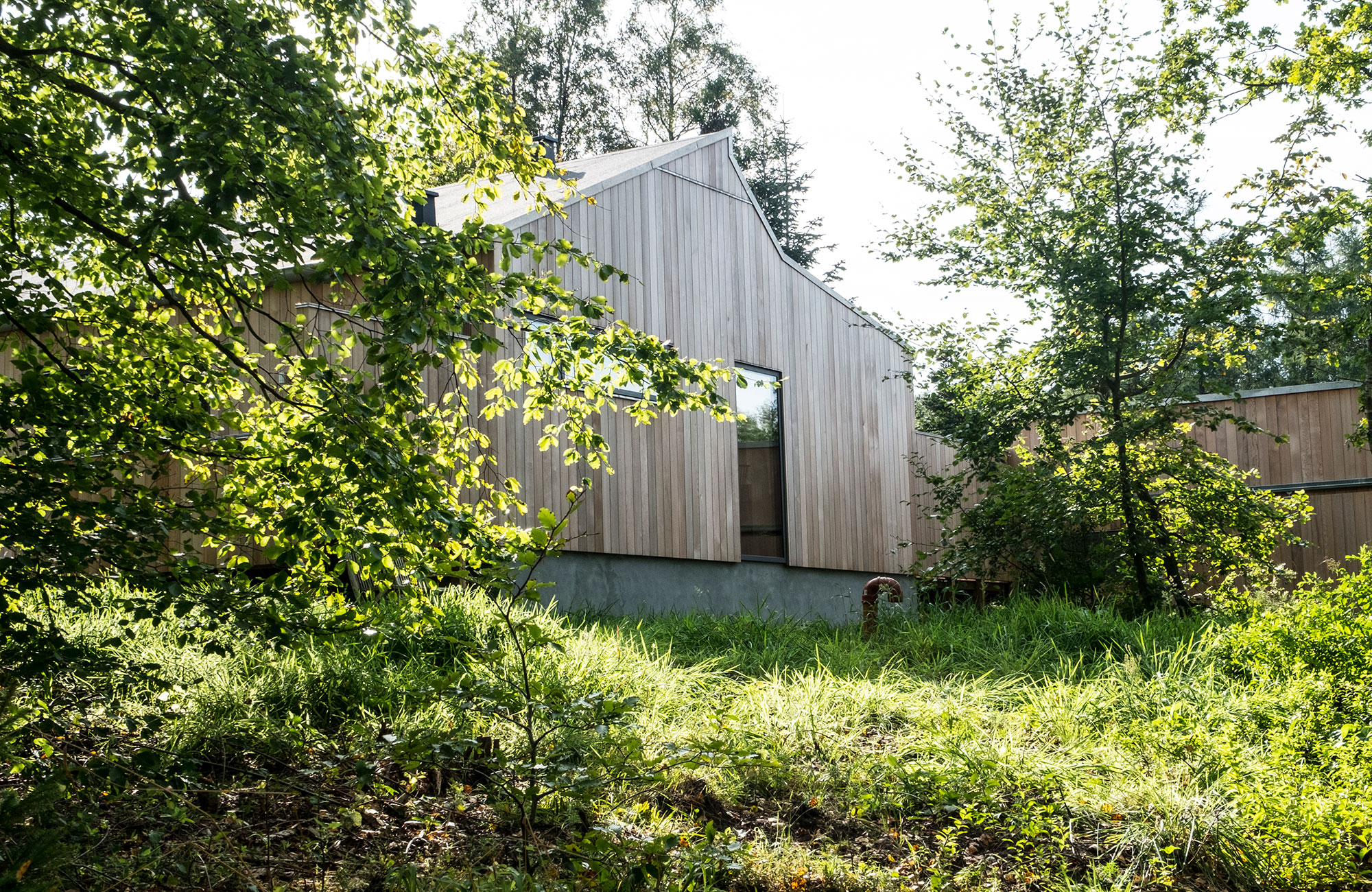 Huset i skoven — Helårshuse i Nordjylland, billede 8