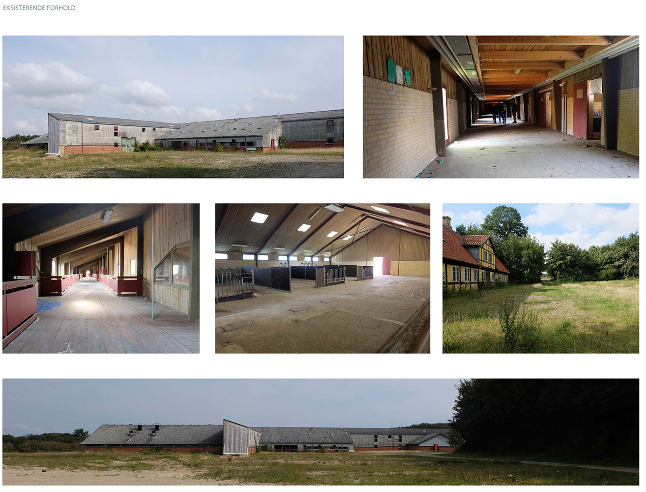 Rugballegård – nyt ridecenter i Horsens — Institutioner i Horsens, billede 8